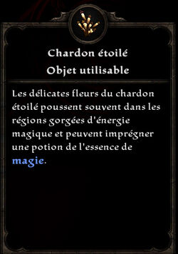 Chardon étoilé
