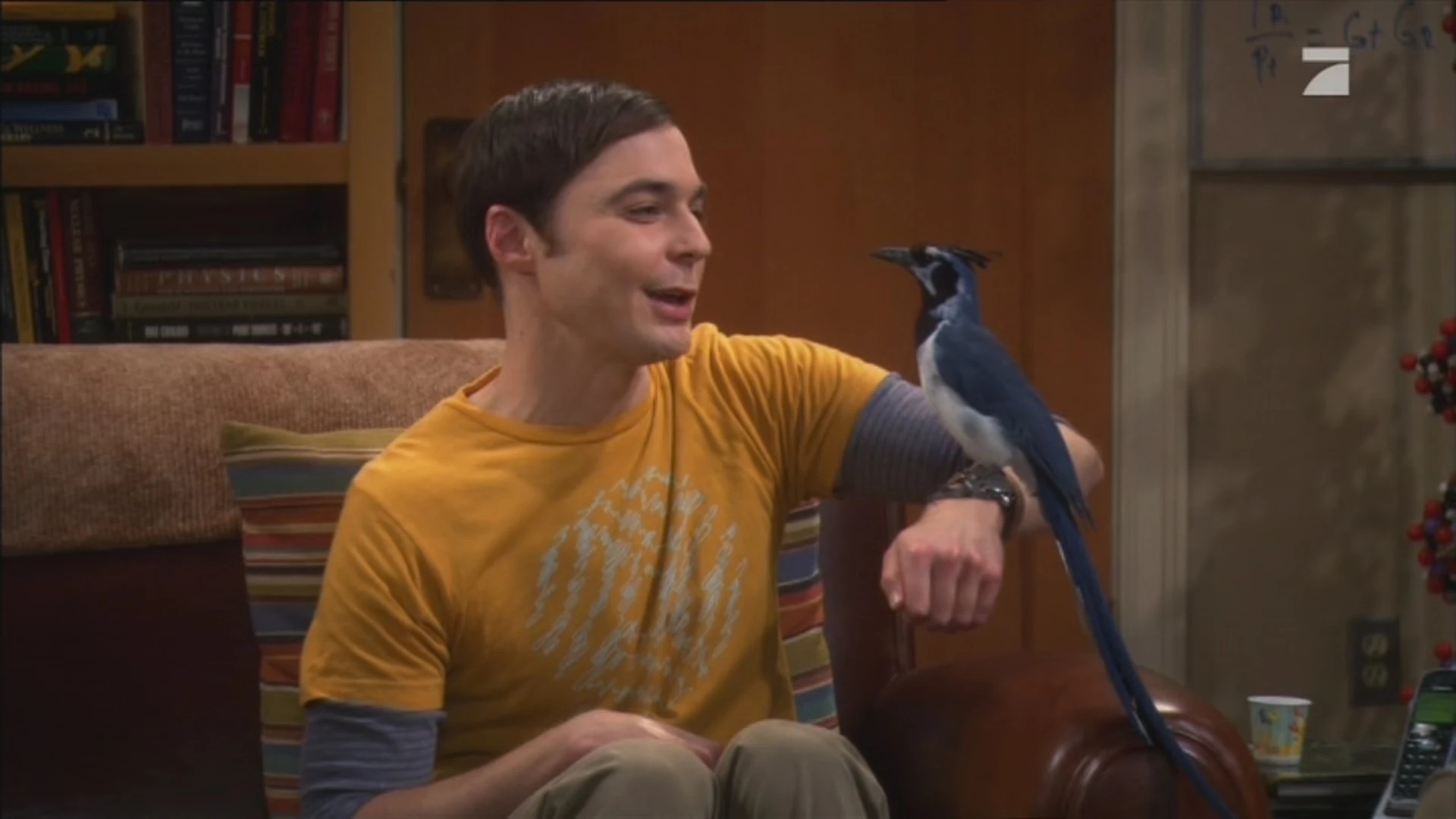 Bild Sheldon mit zugelaufenem Vogel.jpg Big Bang Theory Wiki