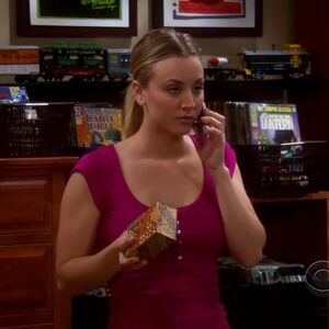 Penny Gallery Herself The Big Bang Theory Wiki Fandom