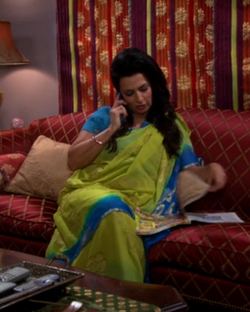Mrs Koothrappali The Big Bang Theory Wiki Fandom
