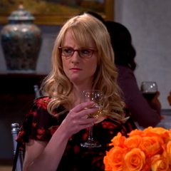 The Champagne Reflection | The Big Bang Theory Wiki | FANDOM powered by ...