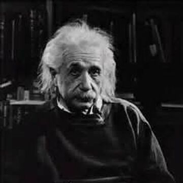 Albert Einstein The Big Bang Theory Wiki Fandom