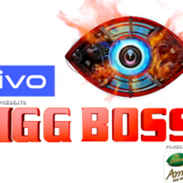 Bigg Boss 13 Hindi Big Brother Wiki Fandom