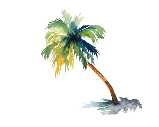 S62iqu.png4