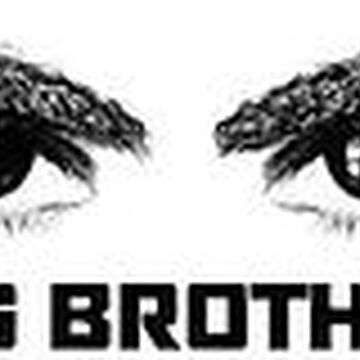 Big Brother Australia 1 Big Brother Wiki Fandom