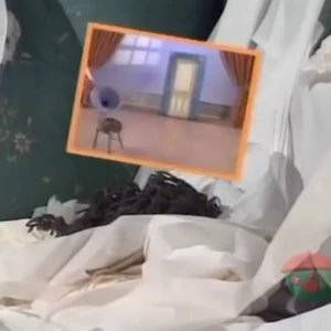 Scrub A Dub Big Comfy Couch Wiki Fandom