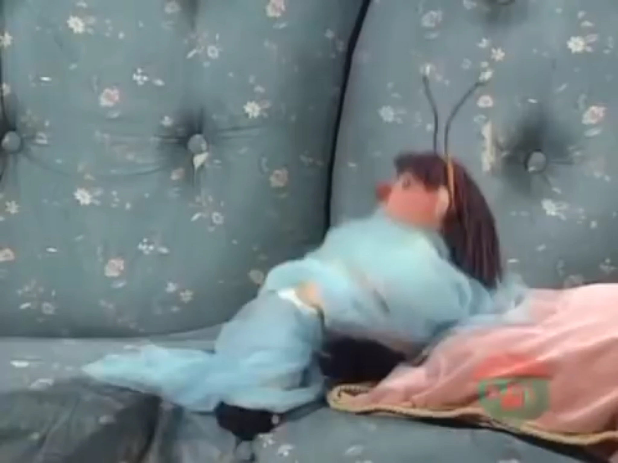 Snug As A Bug Big Comfy Couch Wiki Fandom