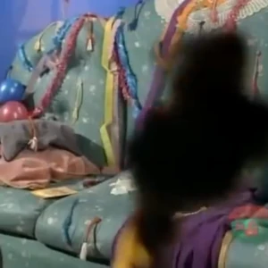 Pinch To Grow An Inch Big Comfy Couch Wiki Fandom
