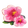 Hibiskusblten-icon