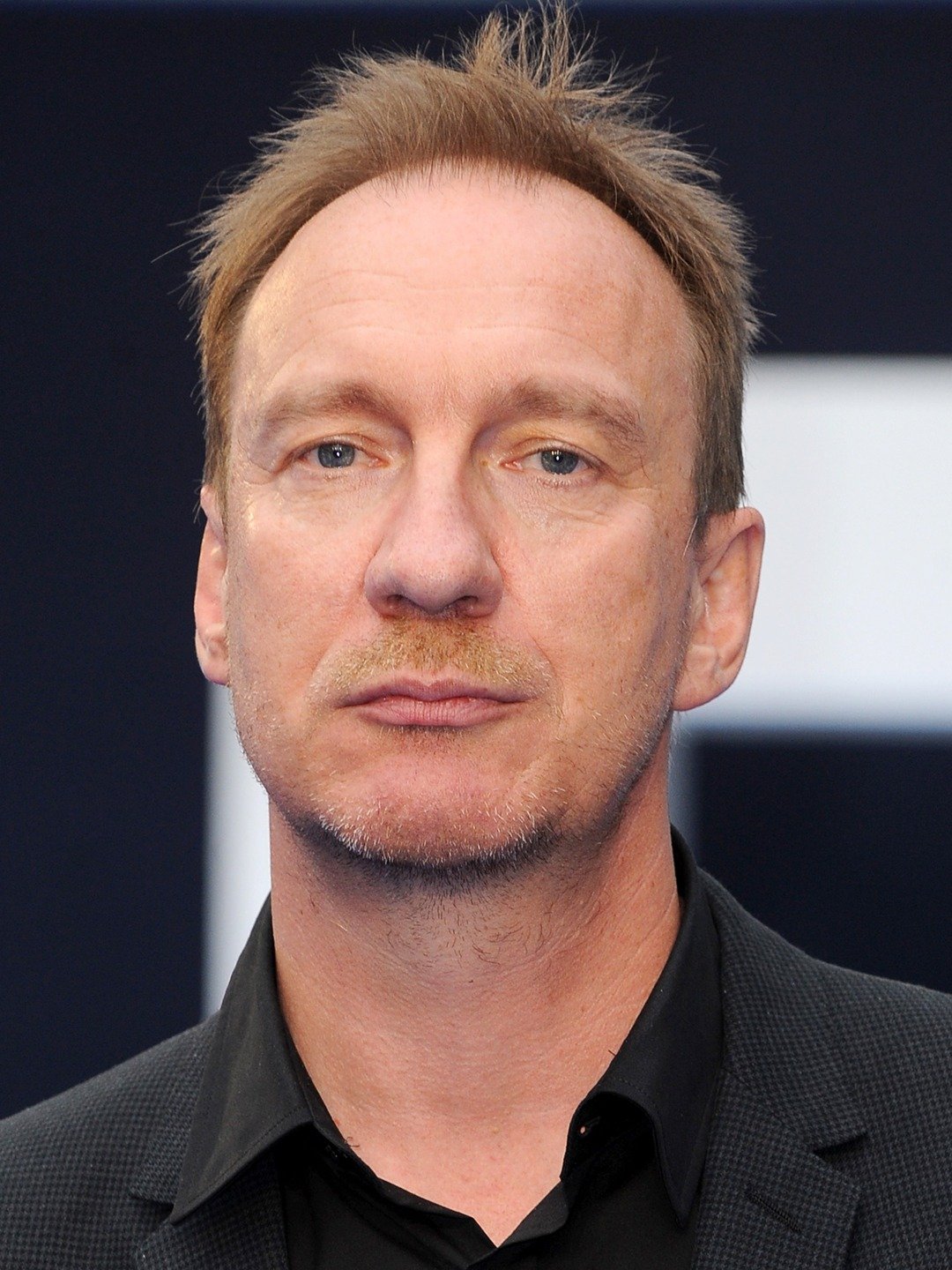 David Thewlis David Thewlis