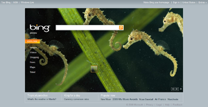 Bing screen