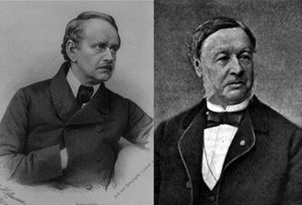 Schleidenschwann
