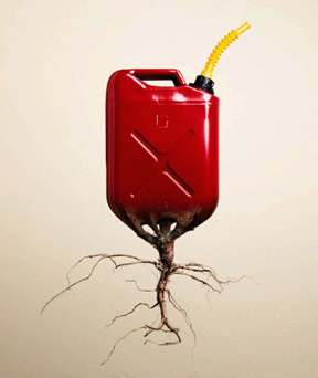 Biofuel