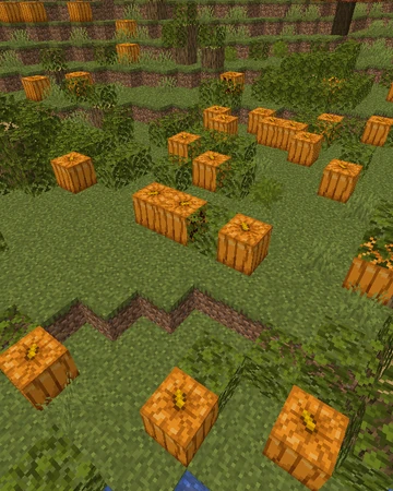 Biomes O Plenty Wiki Biome List Pumpkin Patch Biomes O Plenty Wiki Fandom