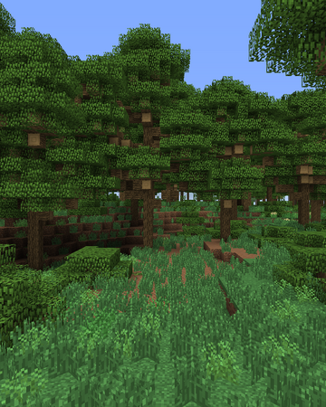 Dense Forest Biomes O Plenty Wiki Fandom