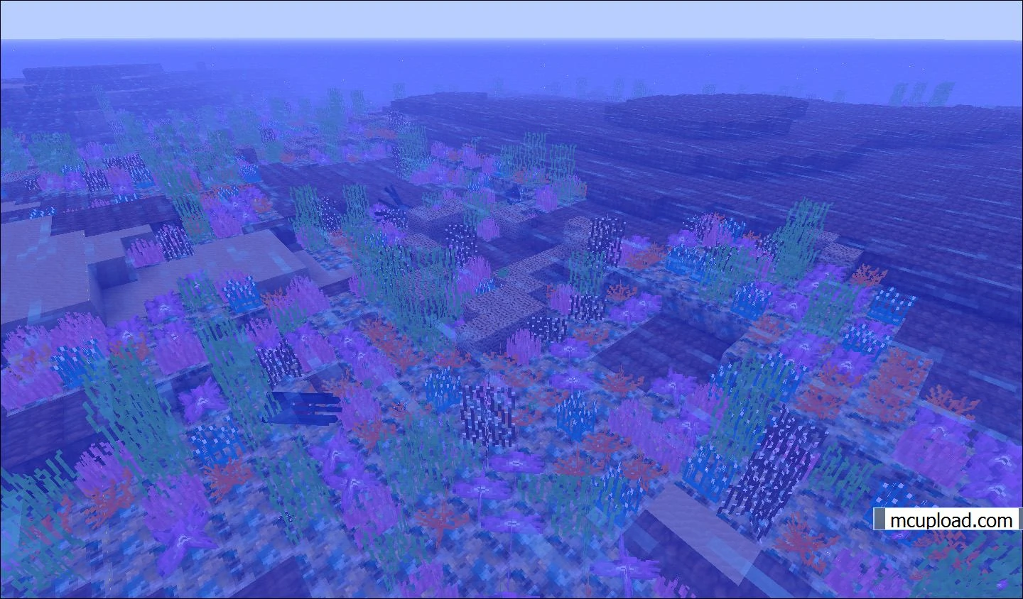 Coral Reef Biomes O' Plenty Wiki FANDOM powered by Wikia