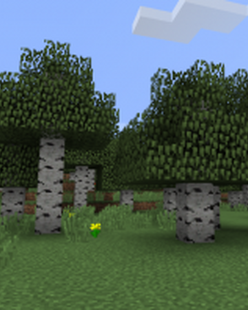 Birch Forest Biomes O Plenty Wiki Fandom