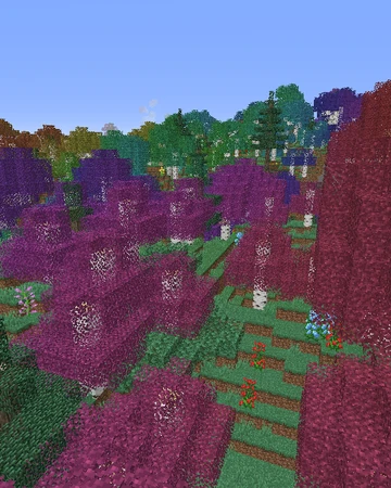 Best Biomes O Plenty Seeds 1 16 Rainbow Valley Biomes O Plenty Wiki Fandom