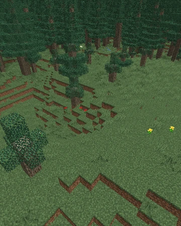 Biomes O Plenty Wiki Biome List Fir Clearing Biomes O Plenty Wiki Fandom