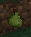 Pear