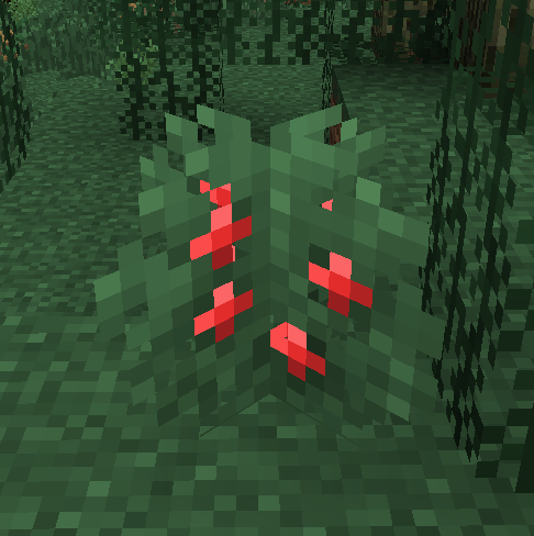 Berry  Biomes O' Plenty Wiki  FANDOM powered by Wikia