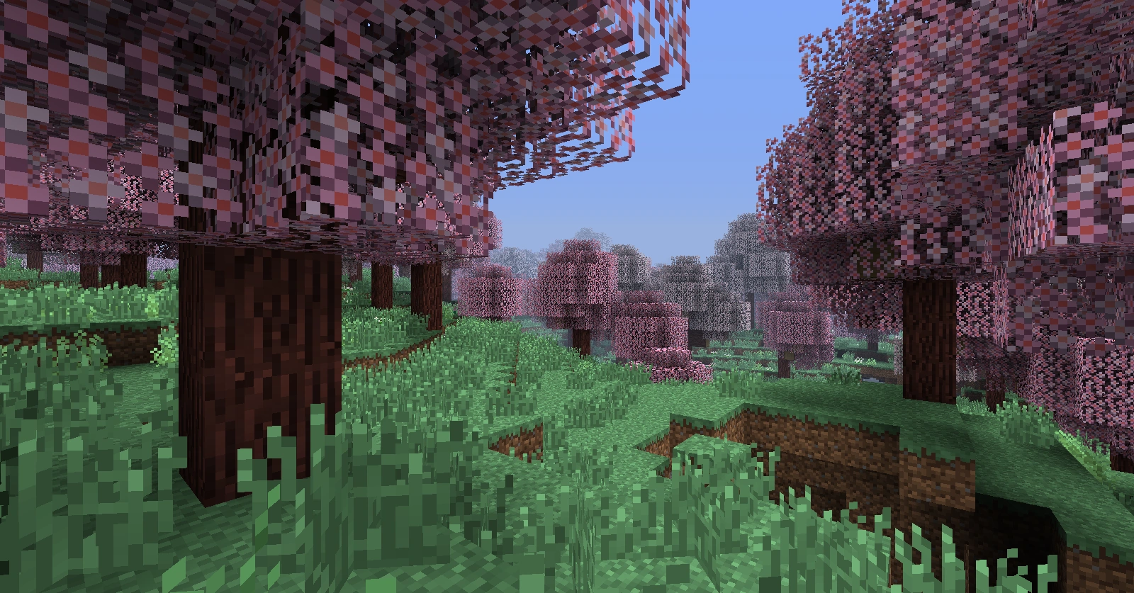 Image CherryBlossomGrove03.png Biomes O' Plenty Wiki FANDOM