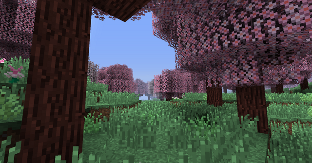 File:CherryBlossomGrove02.png