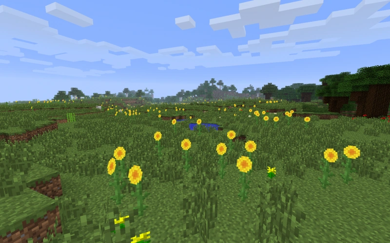 Image 800pxSunflower plains.png Biomes O' Plenty Wiki FANDOM