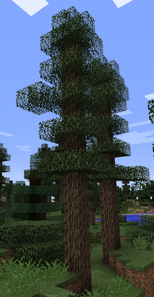 PineTrees
