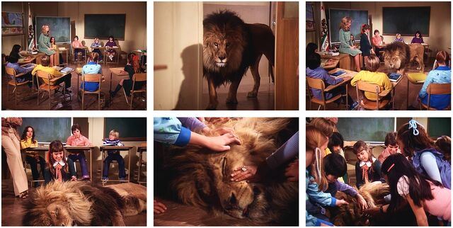 Claws - Classroom Sequence