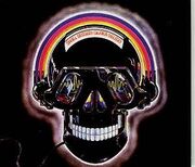 Nelson skull session