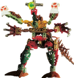 Protodax