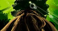 Tree-looking-up