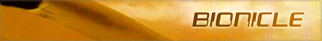 2009banner