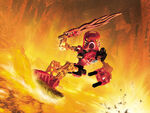 Toa tahu