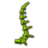 600px-Sensor Tail