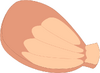 Large Shell