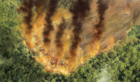 Tahnok Fire Shield Burn