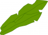 100px-Seaweed