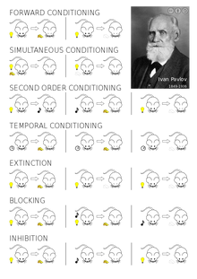 Classical Conditioning.svg