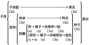 果實 生物学竞赛辞典维基 Fandom