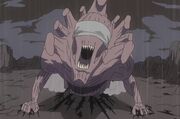Nenuto