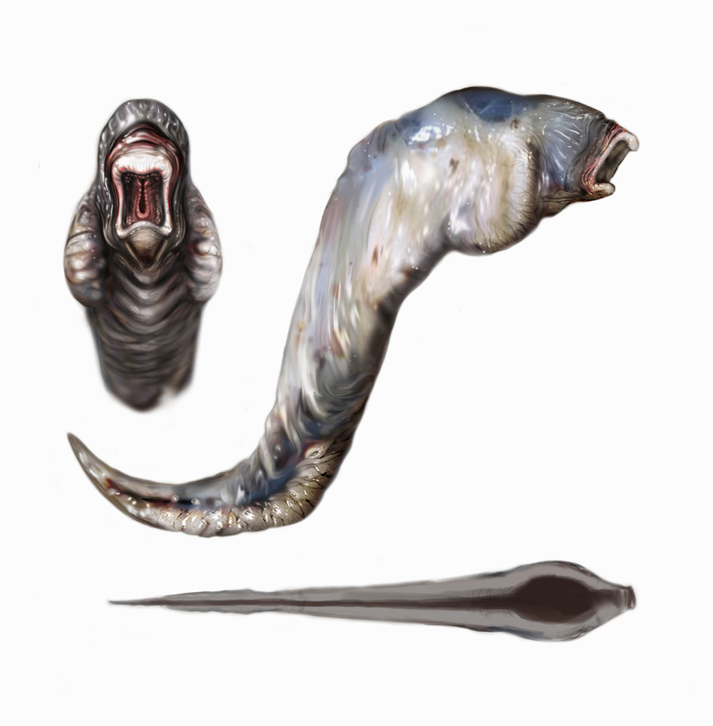 sea slug bioshock wiki