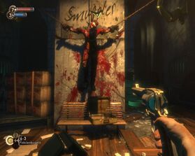 Cadaver pared