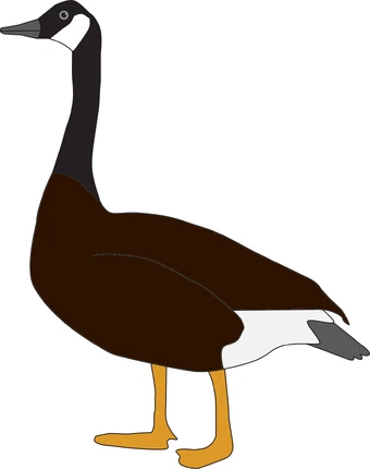 Goose Birds Wiki Fandom