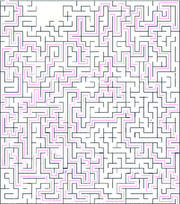 Maze route