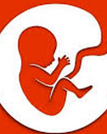 Bitlife Life Simulator Bitlife Life Simulator Wiki Fandom