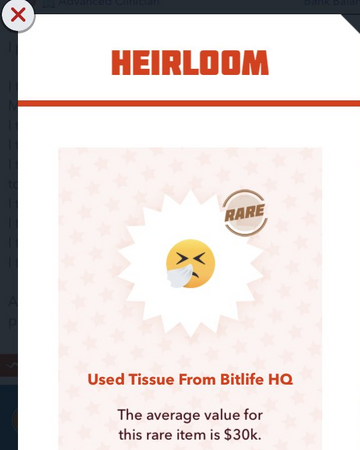 Heirlooms Bitlife Life Simulator Wiki Fandom
