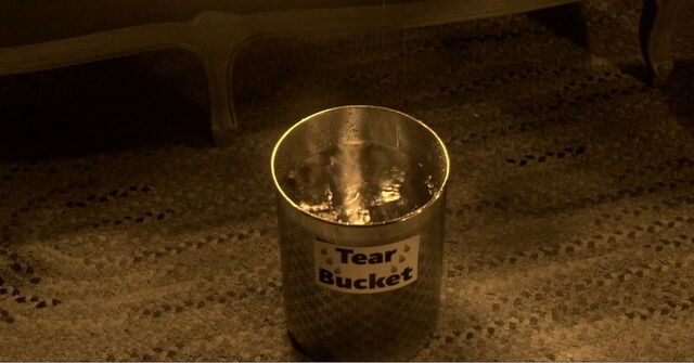 File:Tear Bucket Nearly Full; So Dramatic.jpg