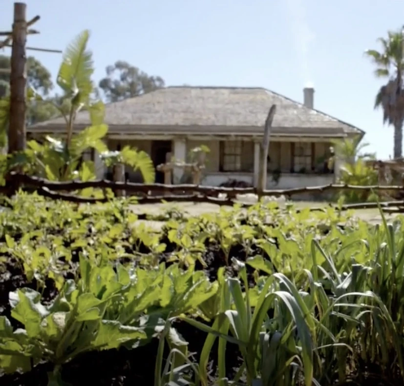 Barlow Estate Black Sails Wiki Fandom